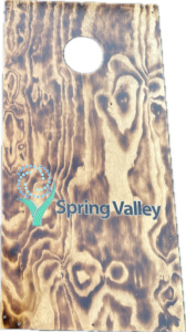 Photo Nov 29 2024, 12 12 53 PM (3)